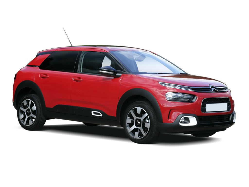 C4 CACTUS